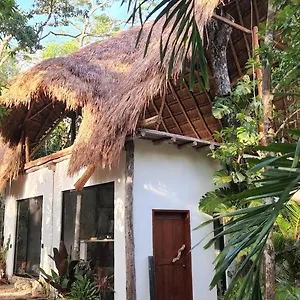 https://selva-roca-tulum.tulum-hotels.net